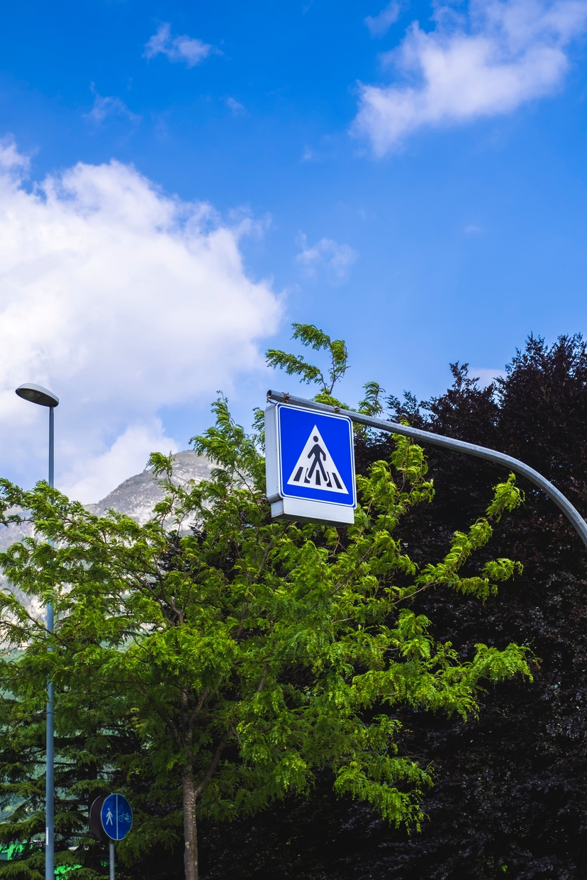 Navigating the Road of Life: Life Lessons Inspired...