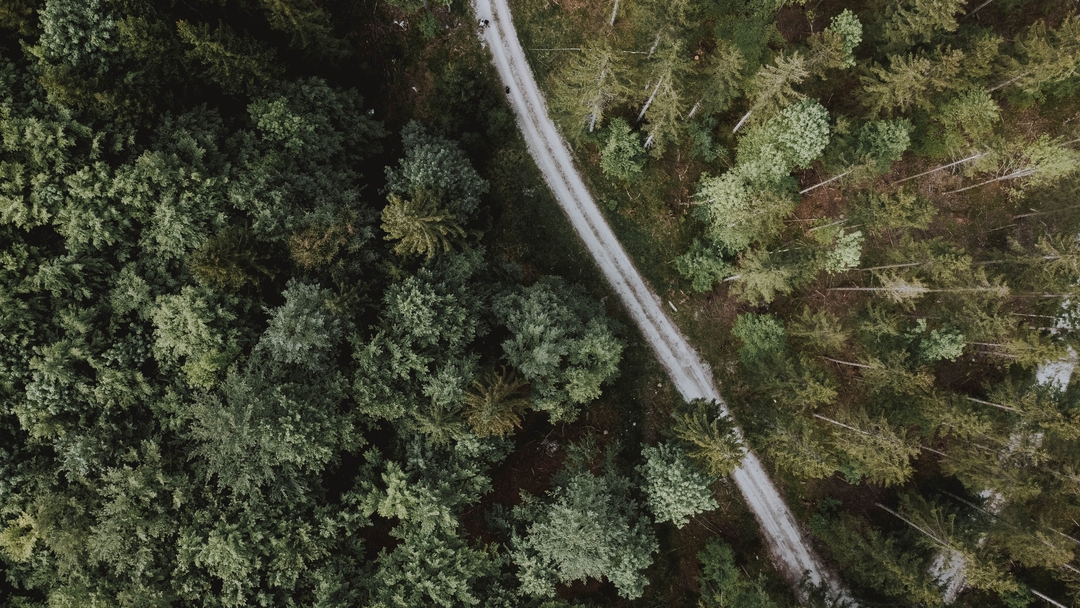 Top 10 Tips for Nailing Your Road Test on the Firs...