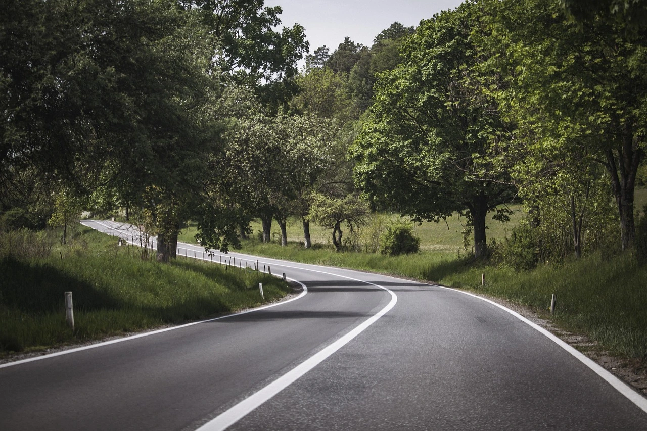 The Art of Packing: Essentials for a Well-Organized Road Trip