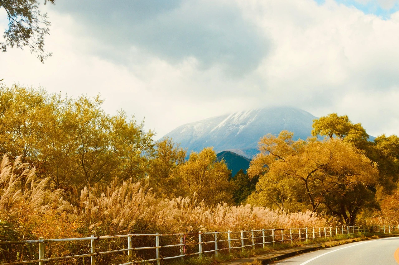 driving-lessons-australia
