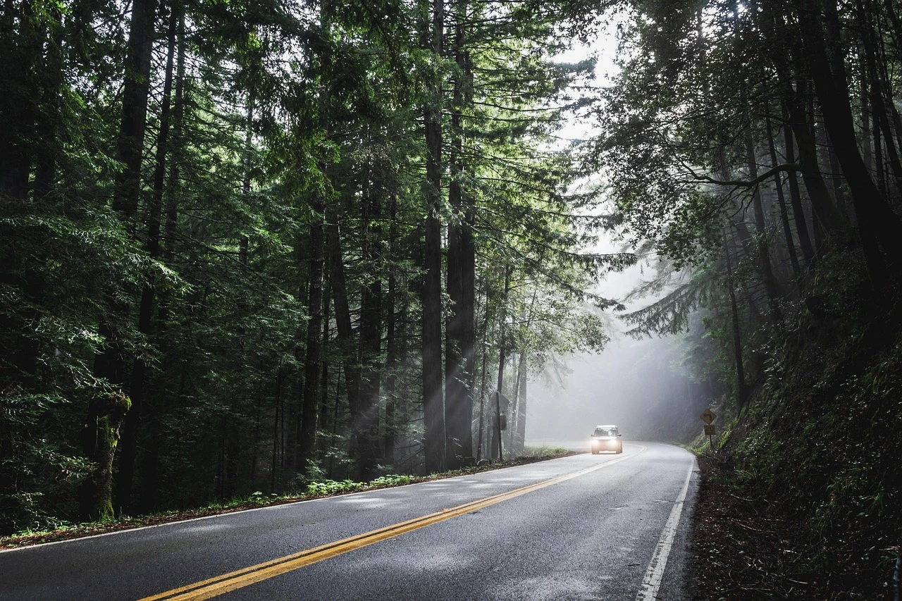 Healthy Habits for Road Warriors: Fitness and Wellness Tips for Long Drives