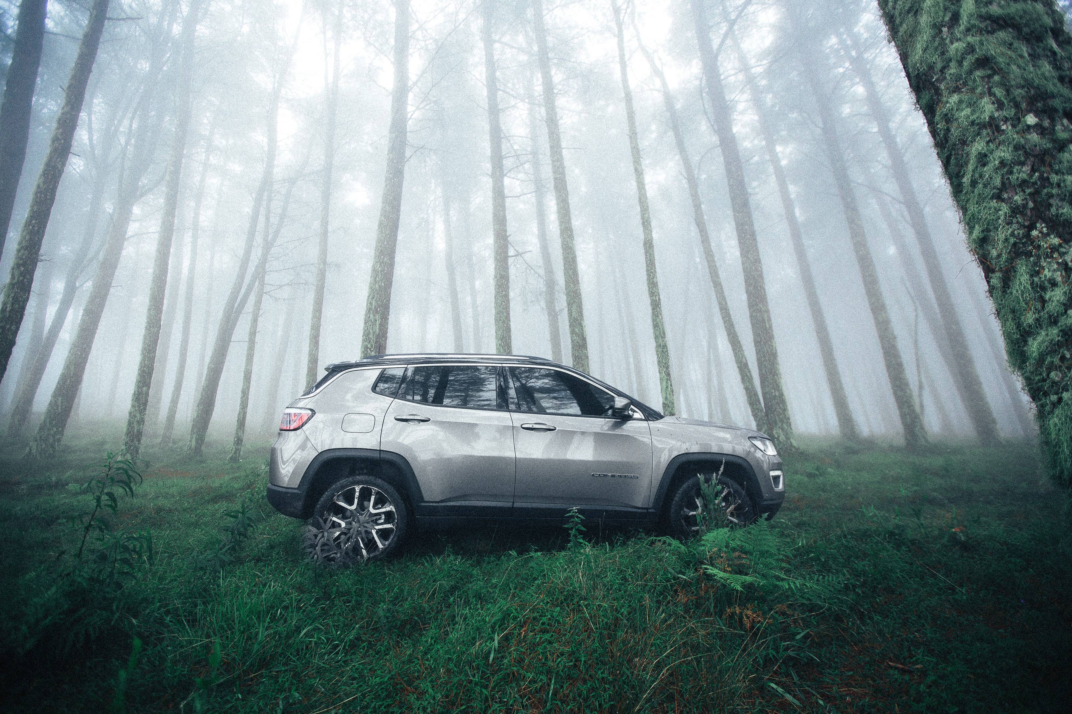 Environmental Stewardship in Off-Roading: Safeguarding Nature's Playground